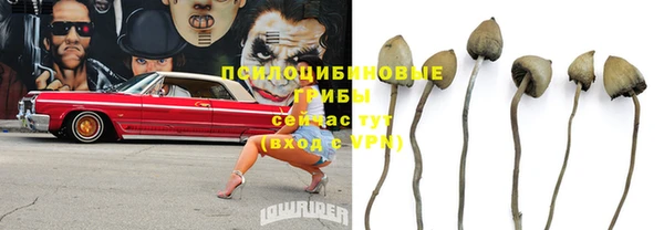 соль ск Краснослободск