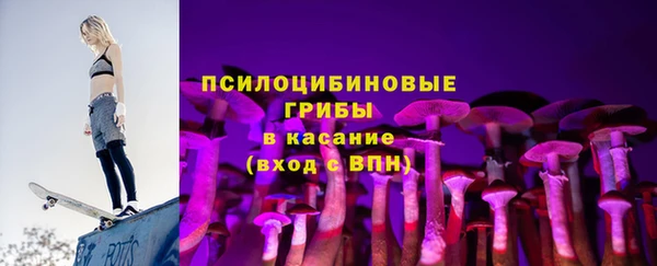 соль ск Краснослободск